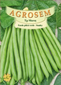 Fasole pitica - Stanley 100 g - seminte fasole, Agrosem